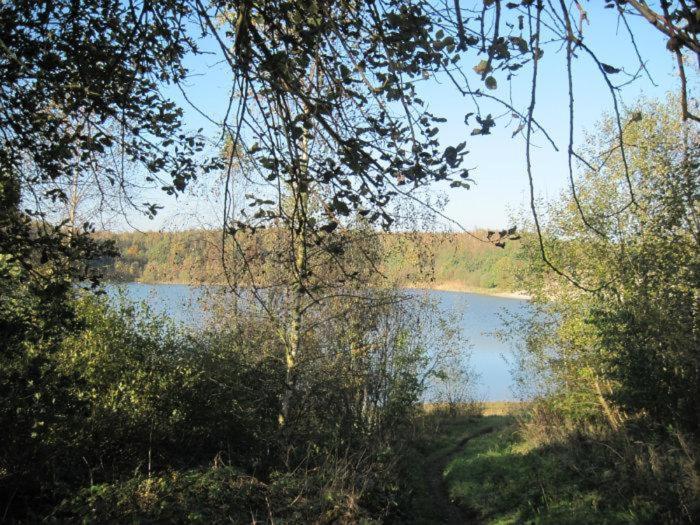 Chalet Kokomo - Gelegen In Bosrijkgebied Van Drenthe Eext Εξωτερικό φωτογραφία